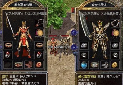 与好友组队冒险，体验无穷乐趣，携手共赴传奇